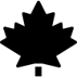 icon canada
